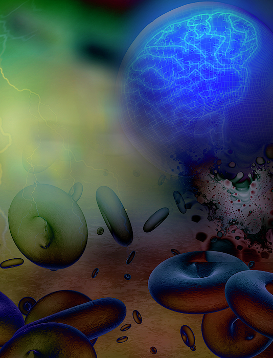 Bloodstream To Human Brain. 3d Model by Bruce Rolff Bloodstream To Human Brain. 3d Model by Bruce Rolff